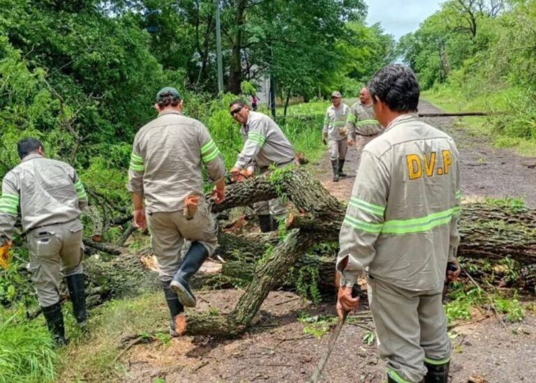 Vialidad Provincial trabaja en Colonia Benítez, tras el temporal