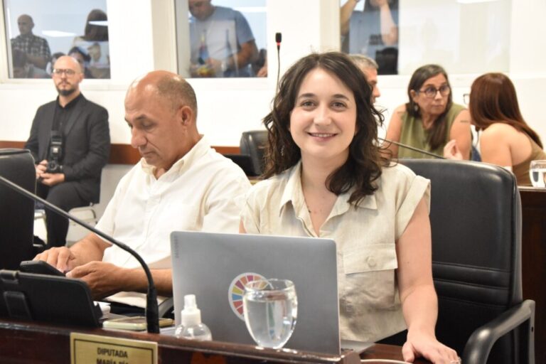 La diputada Pia Cavana presentó el proyecto «Cero Pirotecnia Sonora»