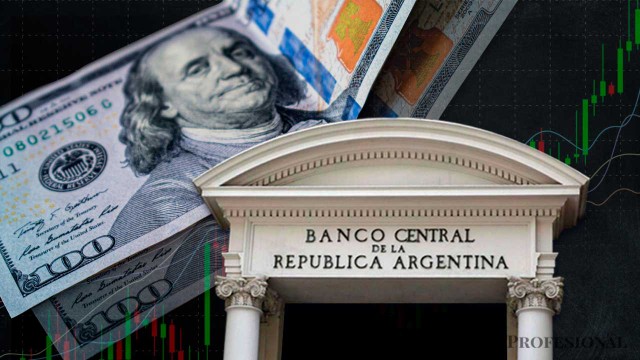 El BCRA compró más de u$s700 millones en enero y las reservas alcanzaron un récord en la era Milei
