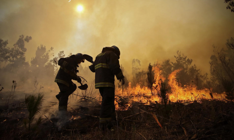 Incendios intencionales colapsan a los cuarteles: hasta cinco salidas diarias