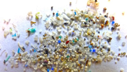 Detectan microplásticos en playas de la Patagonia: el impacto silencioso de los residuos cotidianos