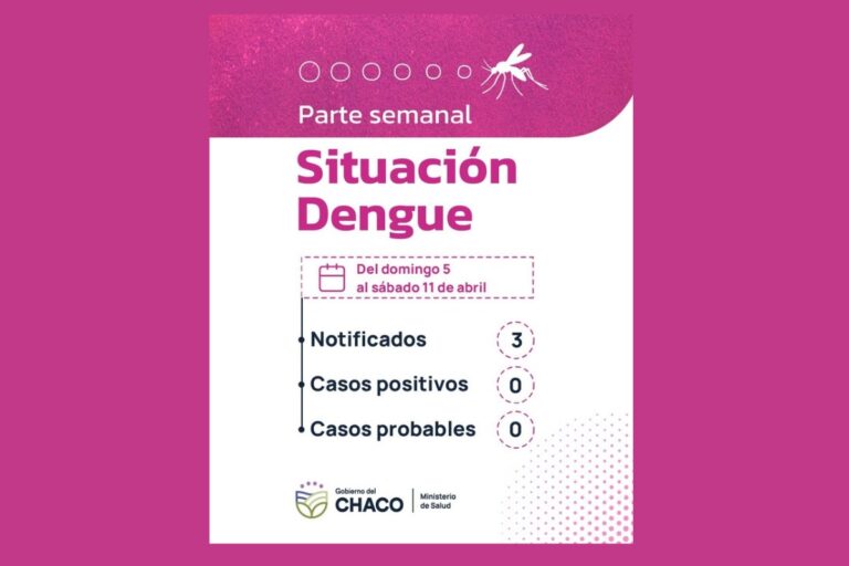Acciones de prevención del dengue en la provincia del Chaco