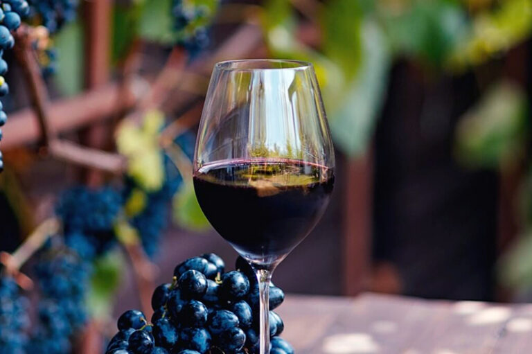 Copa de vino Malbec junto a racimos de uva sobre fondo neutro.