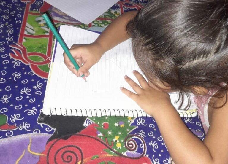 Ministerio de Educación del Chaco, continuidad pedagógica virtual