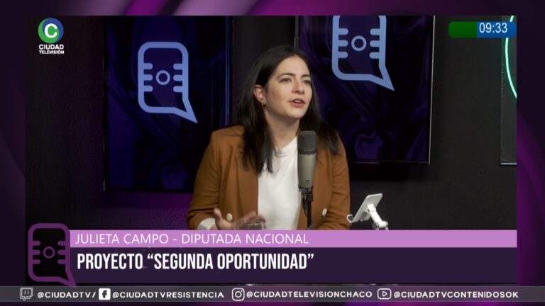 Diputada Julieta Campo durante una exposición en el Congreso sobre el proyecto de regulación de deudas.