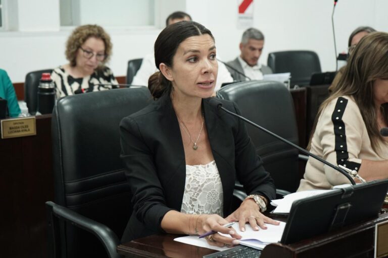 Katia Blanc diputada provincial Chaco reforma electoral