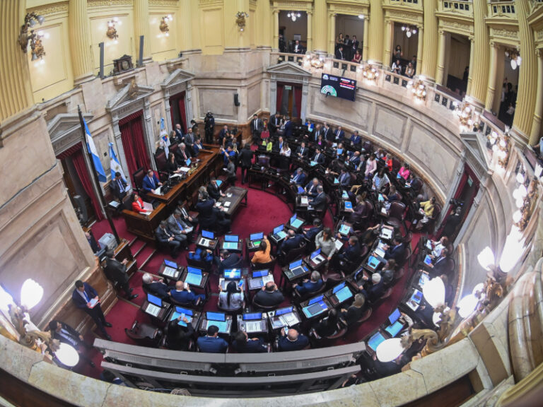 Senado de la Nación Argentina durante una sesión