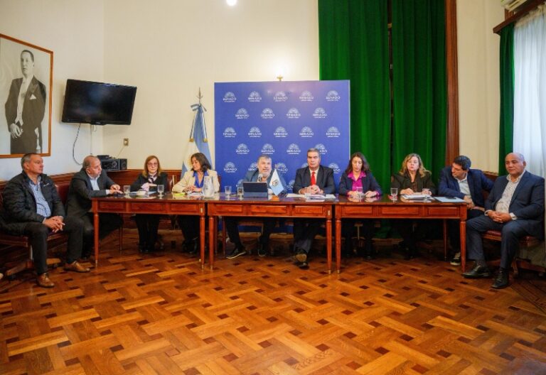 Senadores del Norte Grande durante la presentación del proyecto de tarifa eléctrica diferenciada