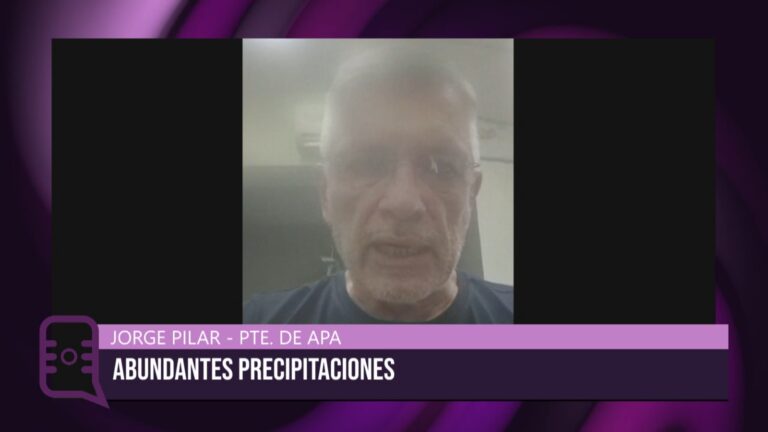 Funcionarios del APA recorren calles tras el temporal en Resistencia, Chaco.