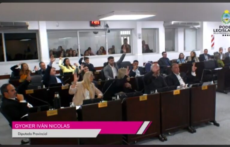 Legislatura chaqueña durante sesión