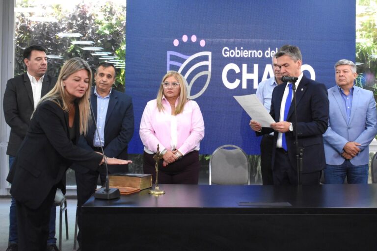Gobernador Leandro Zdero durante una actividad de gestión.