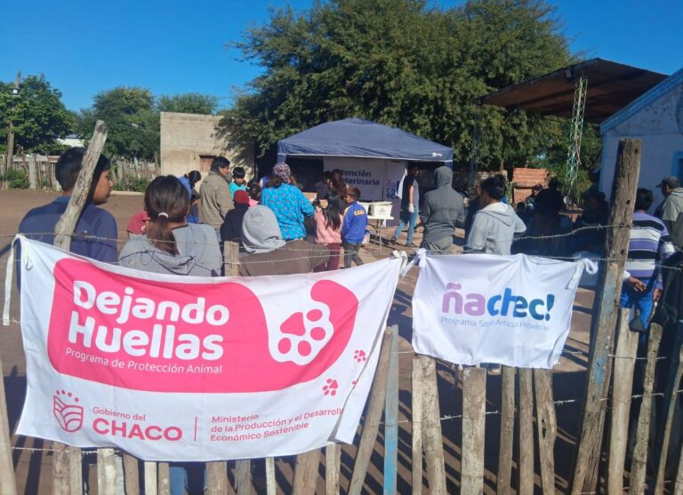 Animales atendidos en el programa Dejando Huellas en Castelli